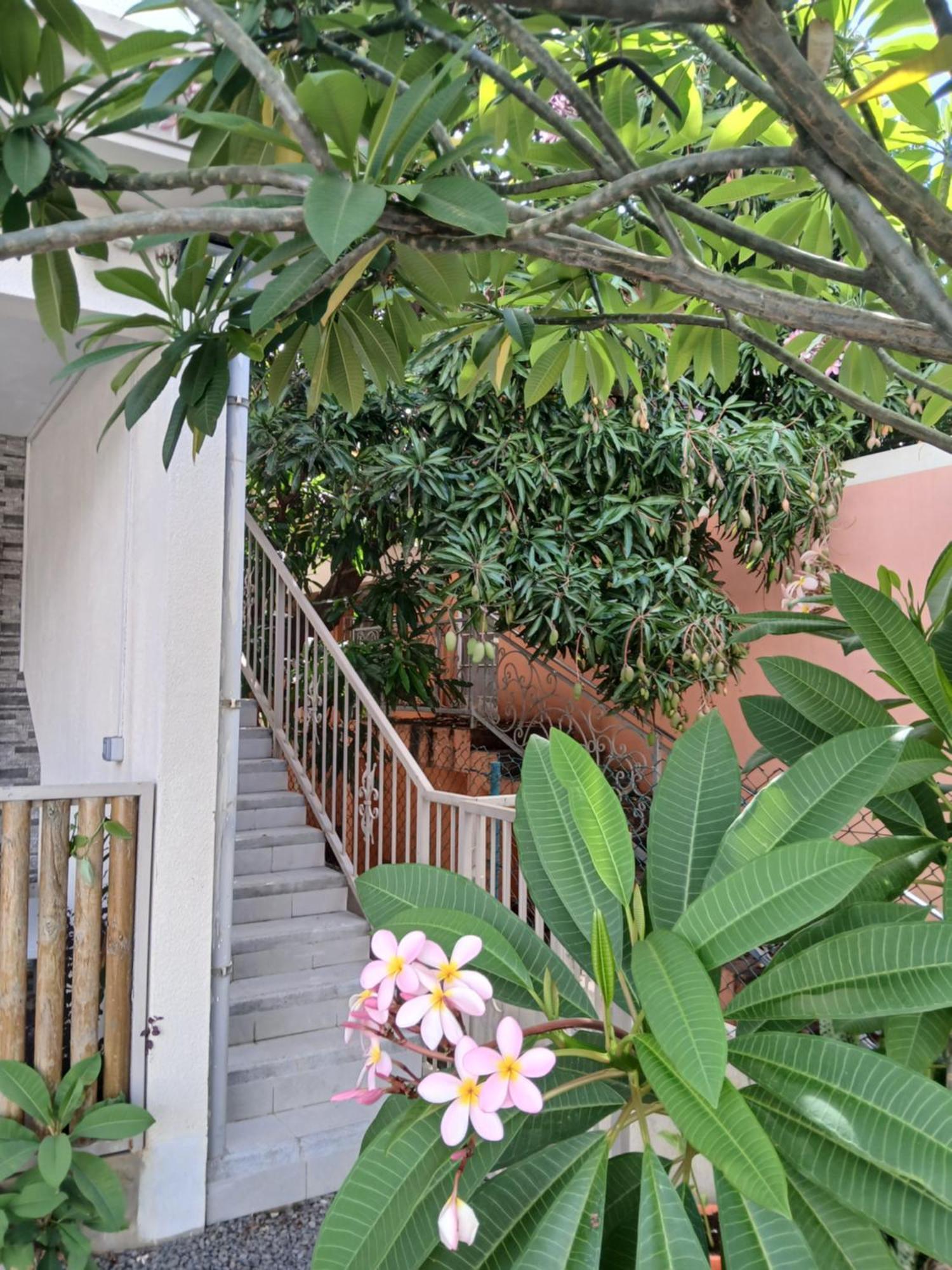 Kiara Apartment